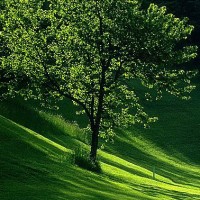 Démarche Haute Qualité Environnementale